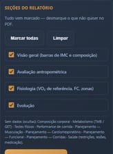 Seleção demonstrativa das seções do relatório em PDF